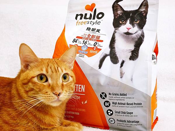 P3930390.JPG P3930390.JPG