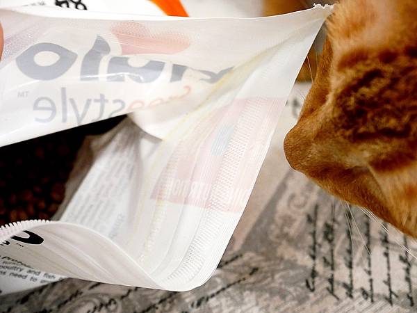 P3930466.JPG P3930466.JPG