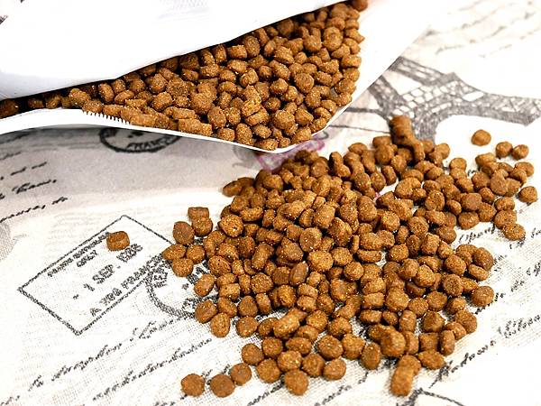 P3930473.JPG P3930473.JPG