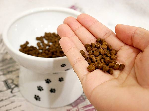 P3930495.JPG P3930495.JPG