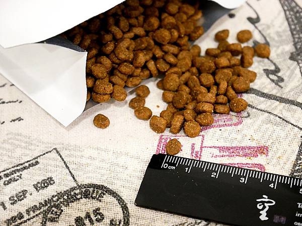 P3930504.JPG P3930504.JPG