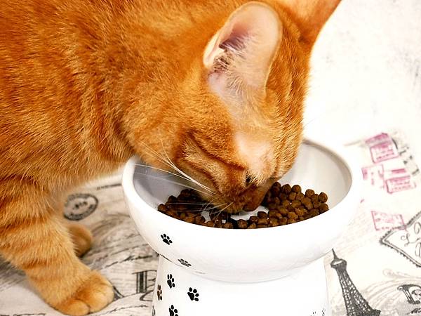 P3930477.JPG P3930477.JPG