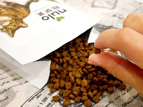 P3930501.JPG P3930501.JPG