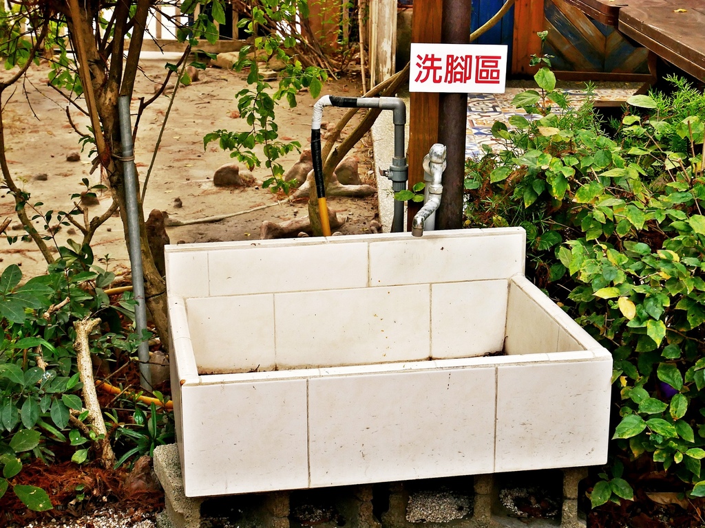 探索迷宮歐式莊園餐廳-彰化和美一日遊景點，花園迷宮、落羽松林