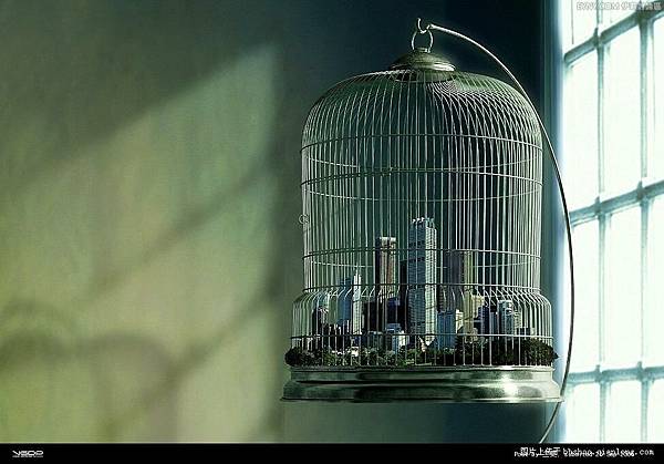鳥籠裡的城市.jpg