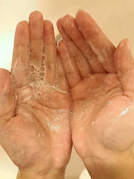 20190122_190122_0009.jpg 試用