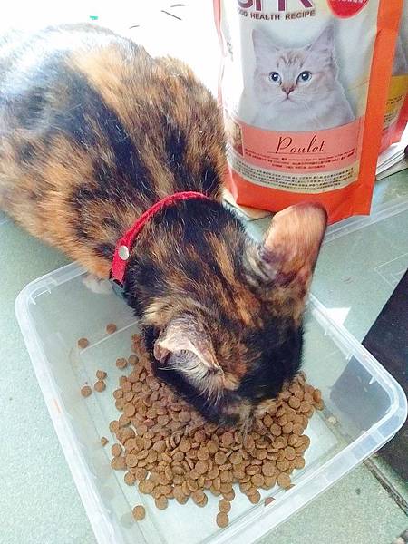 2019630_190630_0016.jpg 試用