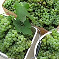 grapes