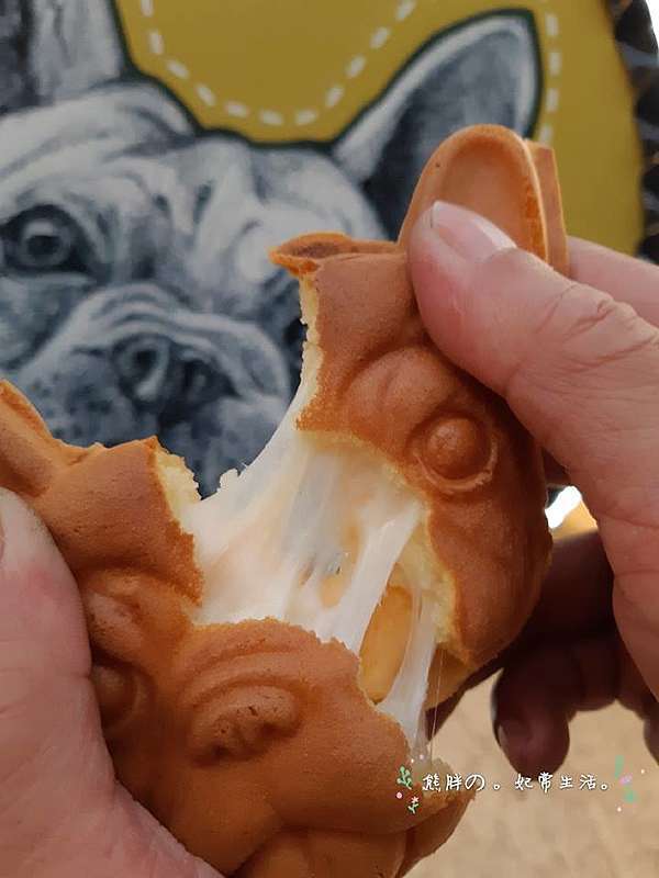 台中北區 犬首燒一中益民商圈附近 用可愛的法鬥犬模樣做成的可愛樣子 傻傻惹人愛 熊胖の妃常生活 台中北區 犬首燒一中益民商圈附近 用可愛的法鬥犬模樣做成的可愛樣子 傻傻惹人愛 熊胖の妃常生活