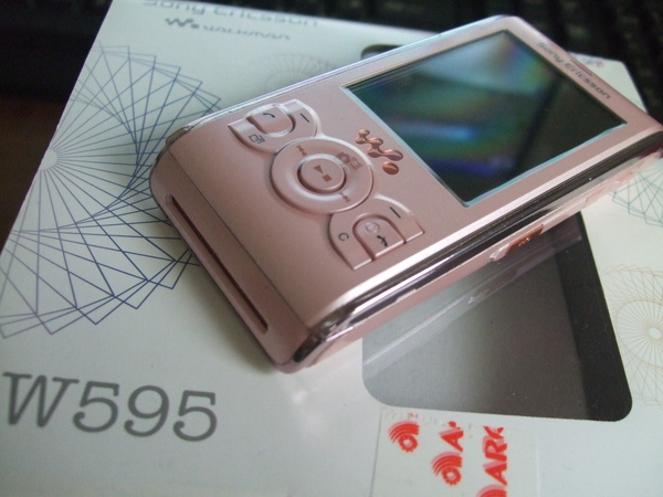 W595 W595