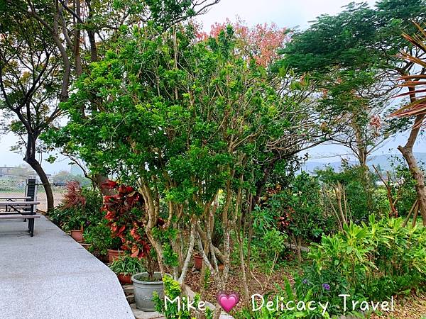 S__178315304.jpg S__178315304.jpg