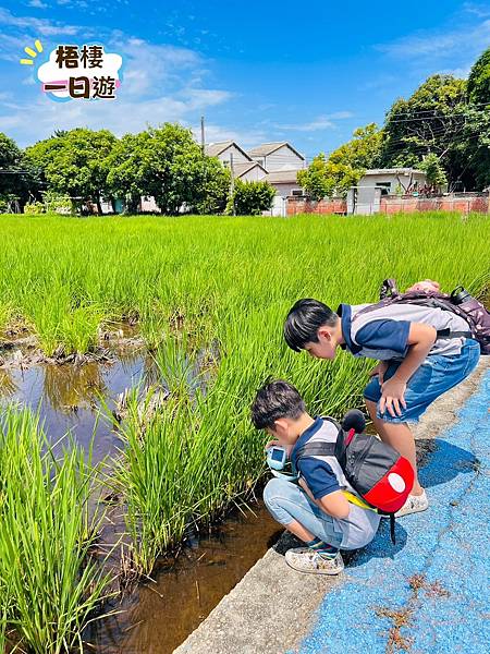 中部海線免費親子景點  ღ 梧棲一日遊 ღ