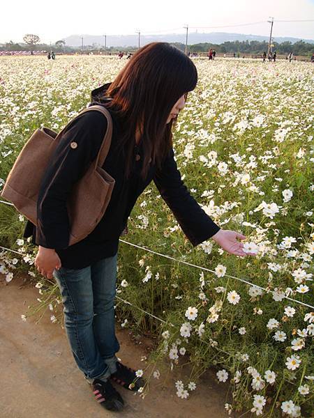 有意境的賞花