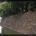 8a51577e9562ce10c72da5cc6243f46f