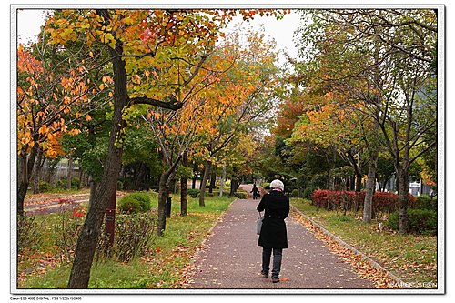 1043cf1d24ac8a733a23a2ffd235bc79