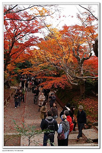 842381e5b525ef04bcca102c540de4e2