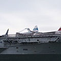 173.JPG
