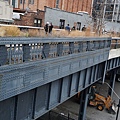 255.JPG