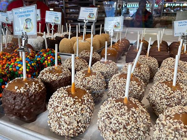 2024年美西之旅 咖哩我們來找你囉Day 2.「Alam 2024年美西之旅 咖哩我們來找你囉Day 2.「Alam