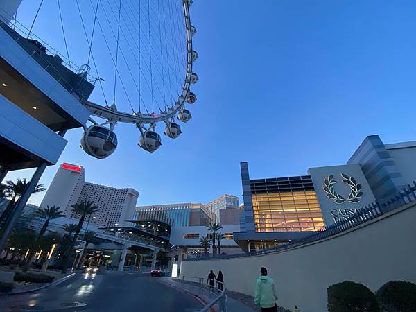 2024年美西之旅 咖哩我們來找你囉Day 6.「Seve