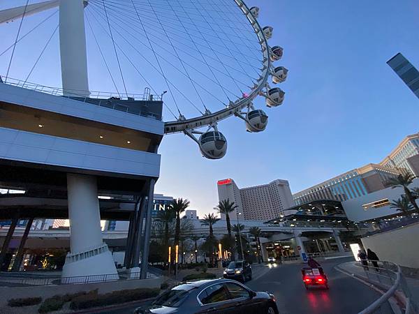 2024年美西之旅 咖哩我們來找你囉Day 6.「Seve