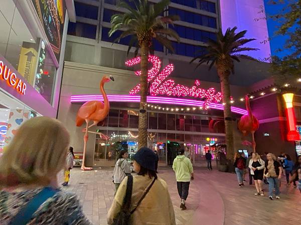 2024年美西之旅 咖哩我們來找你囉Day 6.「Seve