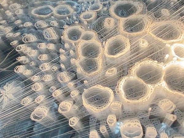 2024年美西之旅 咖哩我們來找你囉Day 7.「Area 2024年美西之旅 咖哩我們來找你囉Day 7.「Area