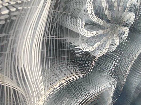 2024年美西之旅 咖哩我們來找你囉Day 7.「Area 2024年美西之旅 咖哩我們來找你囉Day 7.「Area