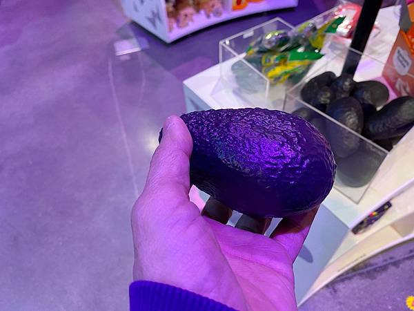 2024年美西之旅 咖哩我們來找你囉Day 7.「Area 2024年美西之旅 咖哩我們來找你囉Day 7.「Area