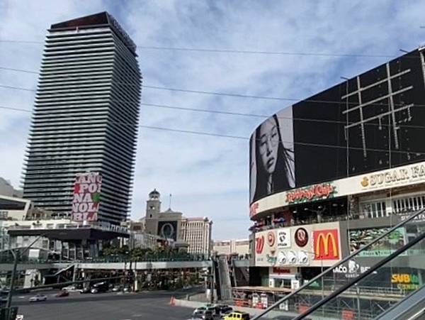 2024年美西之旅 咖哩我們來找你囉Day 7.「Area 2024年美西之旅 咖哩我們來找你囉Day 7.「Area