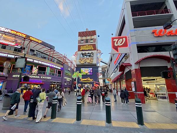 2024年美西之旅 咖哩我們來找你囉Day 7.「Area 2024年美西之旅 咖哩我們來找你囉Day 7.「Area