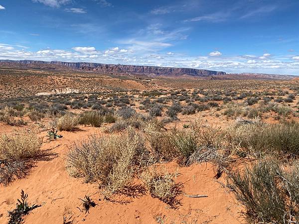 2024年美西之旅 咖哩我們來找你囉Day 9.「Hors 2024年美西之旅 咖哩我們來找你囉Day 9.「Hors