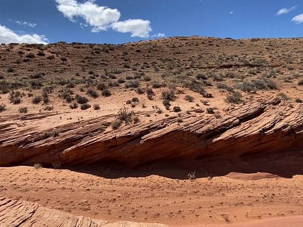 2024年美西之旅 咖哩我們來找你囉Day 9.「Hors 2024年美西之旅 咖哩我們來找你囉Day 9.「Hors