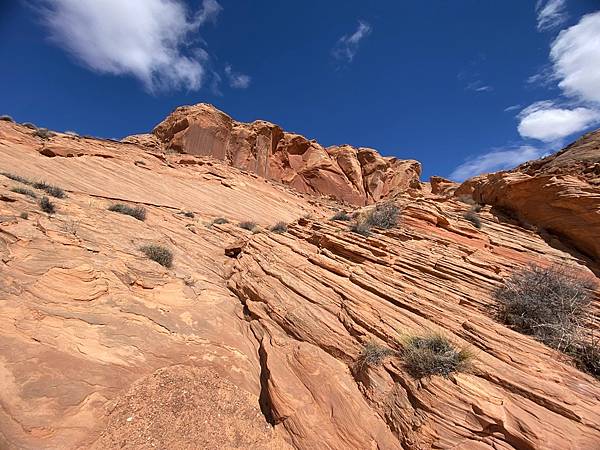 2024年美西之旅 咖哩我們來找你囉Day 9.「Hors 2024年美西之旅 咖哩我們來找你囉Day 9.「Hors