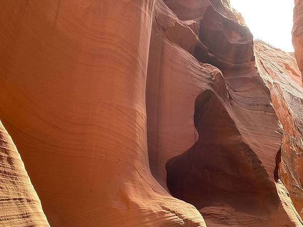 2024年美西之旅 咖哩我們來找你囉Day 9.「Hors 2024年美西之旅 咖哩我們來找你囉Day 9.「Hors