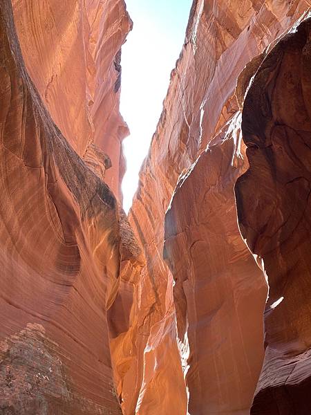 2024年美西之旅 咖哩我們來找你囉Day 9.「Hors 2024年美西之旅 咖哩我們來找你囉Day 9.「Hors