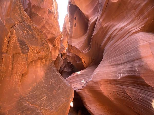 2024年美西之旅 咖哩我們來找你囉Day 9.「Hors 2024年美西之旅 咖哩我們來找你囉Day 9.「Hors