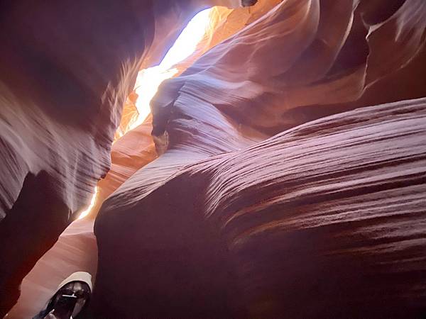 2024年美西之旅 咖哩我們來找你囉Day 9.「Hors 2024年美西之旅 咖哩我們來找你囉Day 9.「Hors