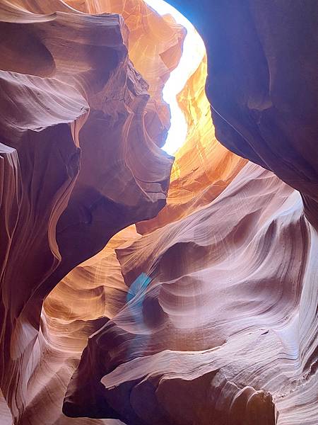 2024年美西之旅 咖哩我們來找你囉Day 9.「Hors 2024年美西之旅 咖哩我們來找你囉Day 9.「Hors