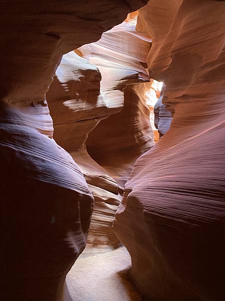 2024年美西之旅 咖哩我們來找你囉Day 9.「Hors 2024年美西之旅 咖哩我們來找你囉Day 9.「Hors