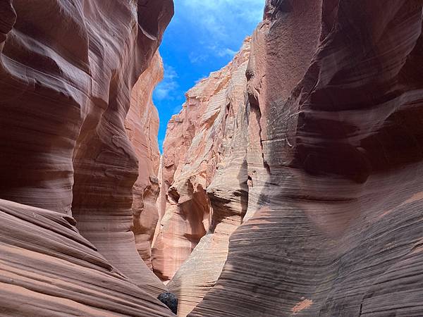 2024年美西之旅 咖哩我們來找你囉Day 9.「Hors 2024年美西之旅 咖哩我們來找你囉Day 9.「Hors