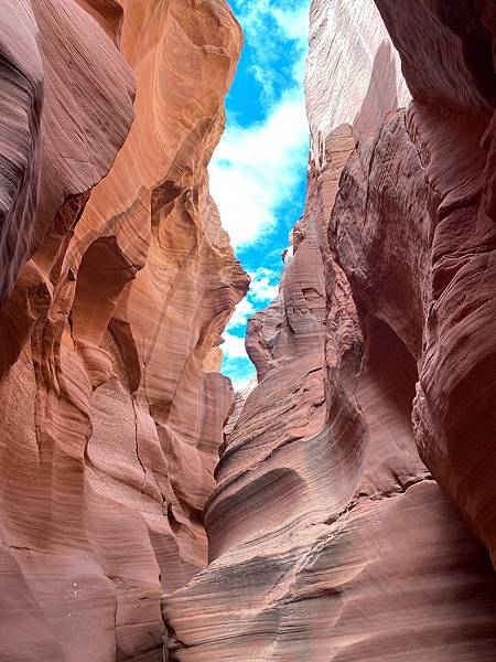 2024年美西之旅 咖哩我們來找你囉Day 9.「Hors 2024年美西之旅 咖哩我們來找你囉Day 9.「Hors