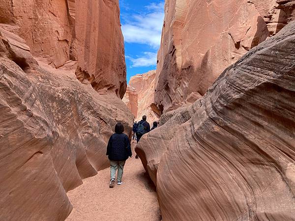 2024年美西之旅 咖哩我們來找你囉Day 9.「Hors 2024年美西之旅 咖哩我們來找你囉Day 9.「Hors