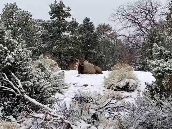 2024年美西之旅 咖哩我們來找你囉Day 10.「Gra 2024年美西之旅 咖哩我們來找你囉Day 10.「Gra