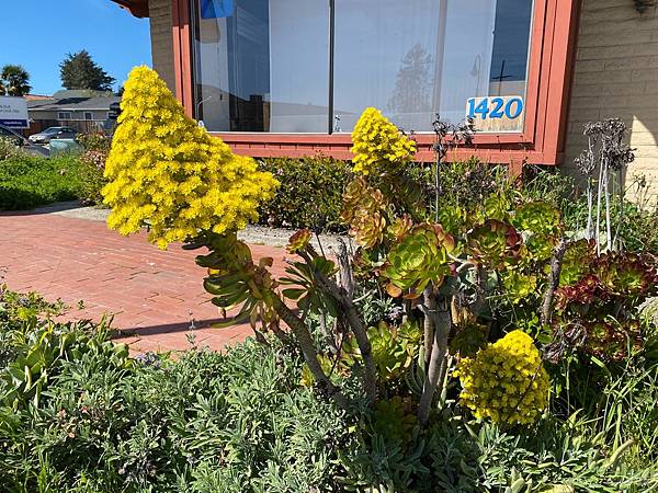 2024年美西之旅 咖哩我們來找你囉Day 12.「Caf 2024年美西之旅 咖哩我們來找你囉Day 12.「Caf