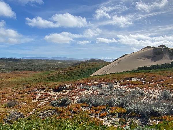 2024年美西之旅 咖哩我們來找你囉Day 12.「Caf 2024年美西之旅 咖哩我們來找你囉Day 12.「Caf