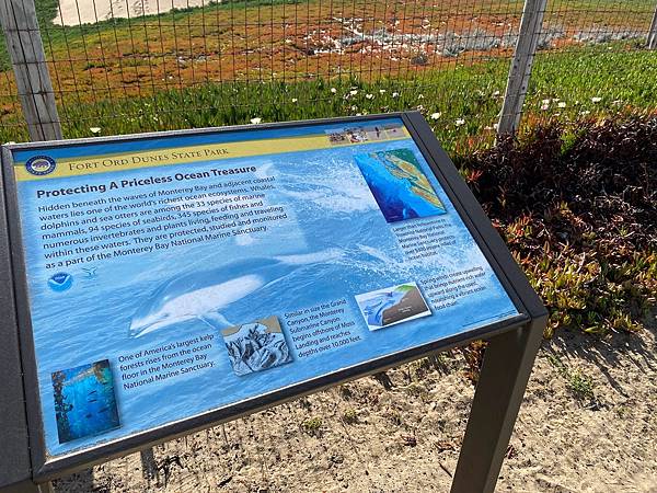 2024年美西之旅 咖哩我們來找你囉Day 12.「Caf 2024年美西之旅 咖哩我們來找你囉Day 12.「Caf