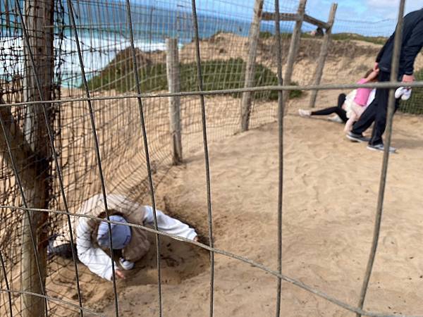 2024年美西之旅 咖哩我們來找你囉Day 12.「Caf 2024年美西之旅 咖哩我們來找你囉Day 12.「Caf