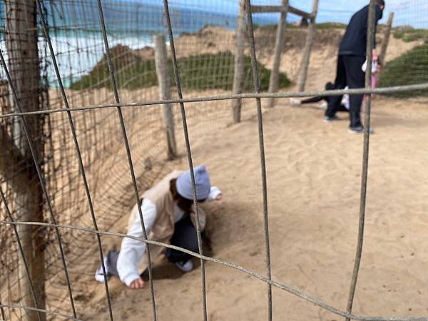 2024年美西之旅 咖哩我們來找你囉Day 12.「Caf 2024年美西之旅 咖哩我們來找你囉Day 12.「Caf