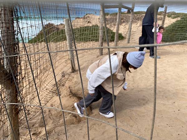 2024年美西之旅 咖哩我們來找你囉Day 12.「Caf 2024年美西之旅 咖哩我們來找你囉Day 12.「Caf